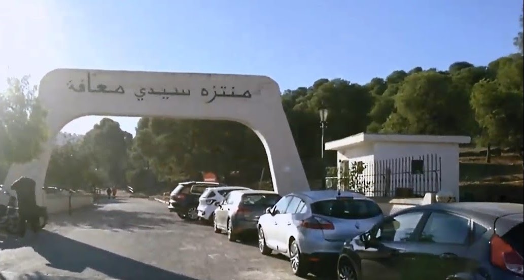 غابة سيدي امعافة 